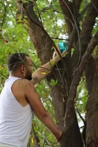 q de Alex_Dancy5 Foto 2