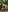 Lunara_Vall's photo