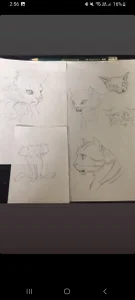 Mis dibujos