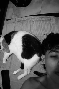 Jake_Falcon my cute pet Immagine  8