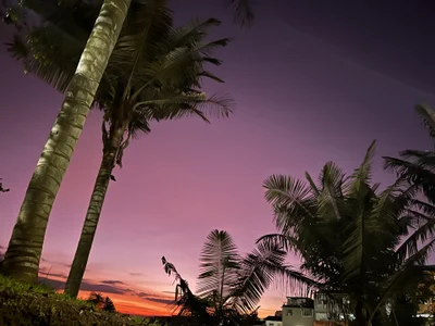 ronald_thompson20 Amo la fotografía. I love photography Pic 8