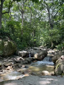 andy_dwels777 Great day of walking through the mountains of Colombia Poză 5