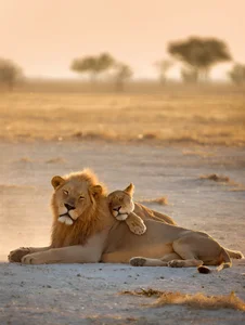 MadameeeKontesssDiamond-- Public slika 8