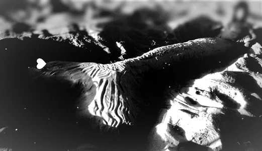 david_Y_steisy: Public ( 8 фото)