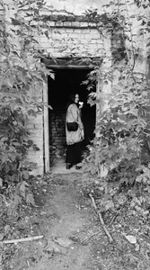 VeliraBraitberg Looking for a home Immagine  3