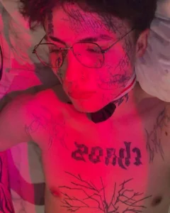 -Amarti- lilac boy Kuva 7