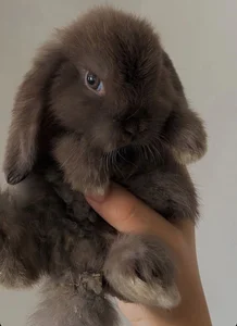 Feed od ELEGGUA_  6 snímek