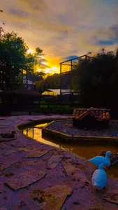 Pictures I took 🖤 od alicce_moon_  9 snímek