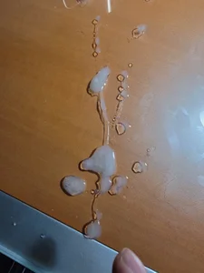 kuma_nomi Public 사진 3