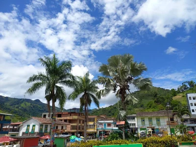 amabel_zambrano Mistrató Colombia صورة واحدة|amabel_zambrano Mistrató Colombia صورتان|amabel_zambrano Mistrató Colombia  3 صور|amabel_zambrano Mistrató Colombia  3 صورة