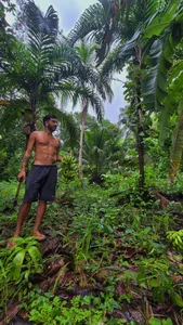 Public de ThaWolfxx  4 photos