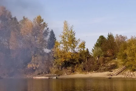 MollyLollipop I am a photographer Poză 6