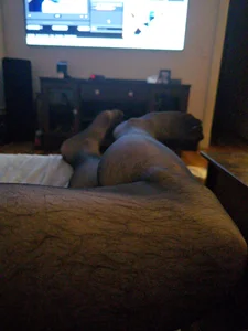 pantyhoselover54 Public Immagine  3