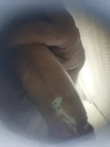 Public de Deyvid184  8 Imagens