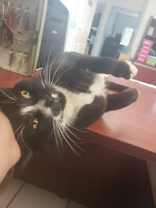 YourSecretGF963Cute ❤图片 4