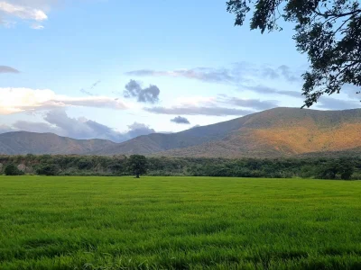 Maria_rosita a nice trip Foto 2