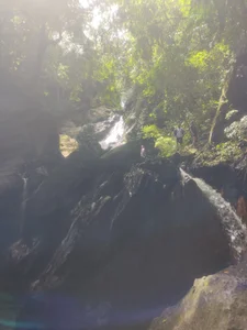 World de TigerStripes1_  7 Imagens