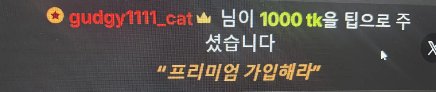 Kor_Cat 내 사랑둥이들 ❤️❤️❤️ 사진 5