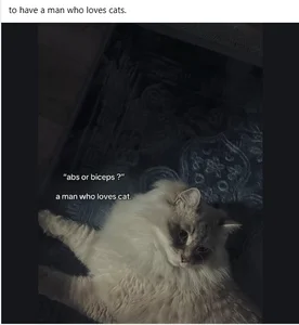 Catleya 02 - Cts od MissCat143  7 snímek