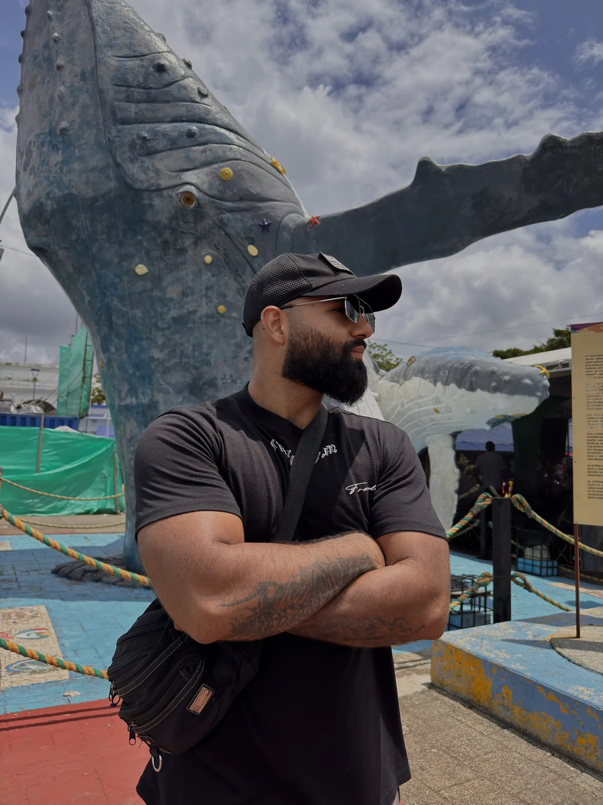 Foto  8772 de BeardAndrew – em alta