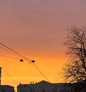 luna_berryy Sunny day ☀️ Immagine  2