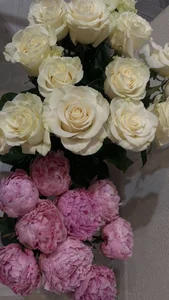 Zdjęcia MelissaMelrey 😊rest day: 