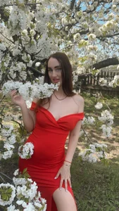 Cherry orchard 🍒 de Las_Vegas888 Foto