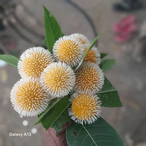 salam071's photo