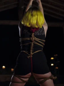 Morganoctiss: The best shibari ( 3 фото)