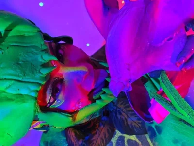 Hada_dracanaeのART🎨の 2枚の写真