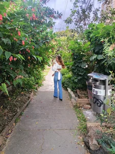 Tamy_edwardsのan afternoon in Teusaquillo🌼✨の 6枚の写真