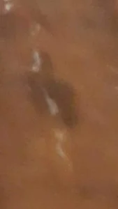 JamesQuaresmaのplayboyの 4枚の写真