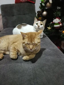 charlloteevans_X Michis Foto 9