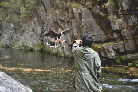 Katakuriko-Denpun Public Immagine 