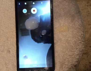 ChristinaChristy Thumbnail for I Masturbated right by Toilet Seat in Point Up View while Standing 사진 2