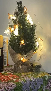 maxxxio12 kullanıcısının E vai albümü -  2 fotoğraf