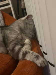 luna_berryy End of the working day 😁 Pic 2