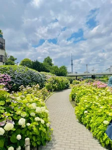 Babe_YK kullanıcısının 🌺🌺🌺 albümü -  fotoğraf