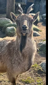 Zdjęcia MelissaMelrey my day:  4