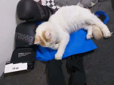 claryssa_ EPIC GOALS ACHIEVED♥ Pic 2