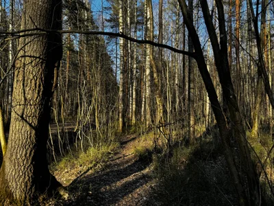 AlexFH life is beautiful slika 9