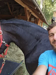 Alex-andru88 Al صورة واحدة|Alex-andru88 Al صورتان|Alex-andru88 Al  3 صور|Alex-andru88 Al  3 صورة