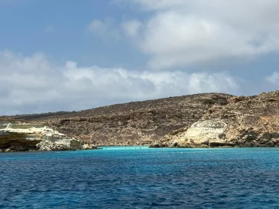 _Sofia_8meow Sea зображення