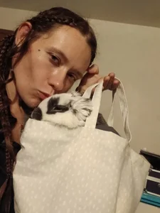 Wonderland97Public Bild 6