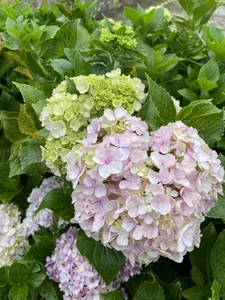 Public od Ebony_muse  8 snímek