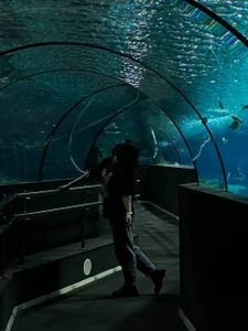 DelindaToste old album Pic