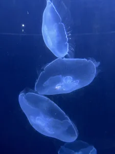 Sex od RomaaNaty  3 snímek