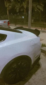 elitesam97 kullanıcısının Wild albümü -  fotoğraf