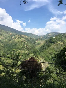 andy_dwels777 Great day of walking through the mountains of Colombia Poză 2