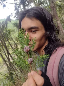Zdjęcia Hebi_txuspunk 🌱🌱:  2